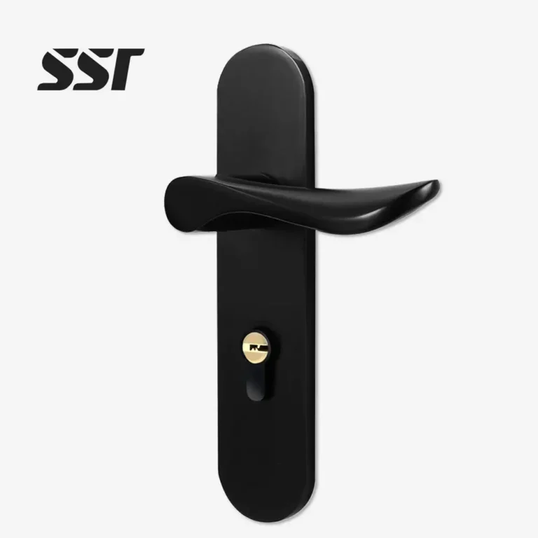 Door Handle with Lock