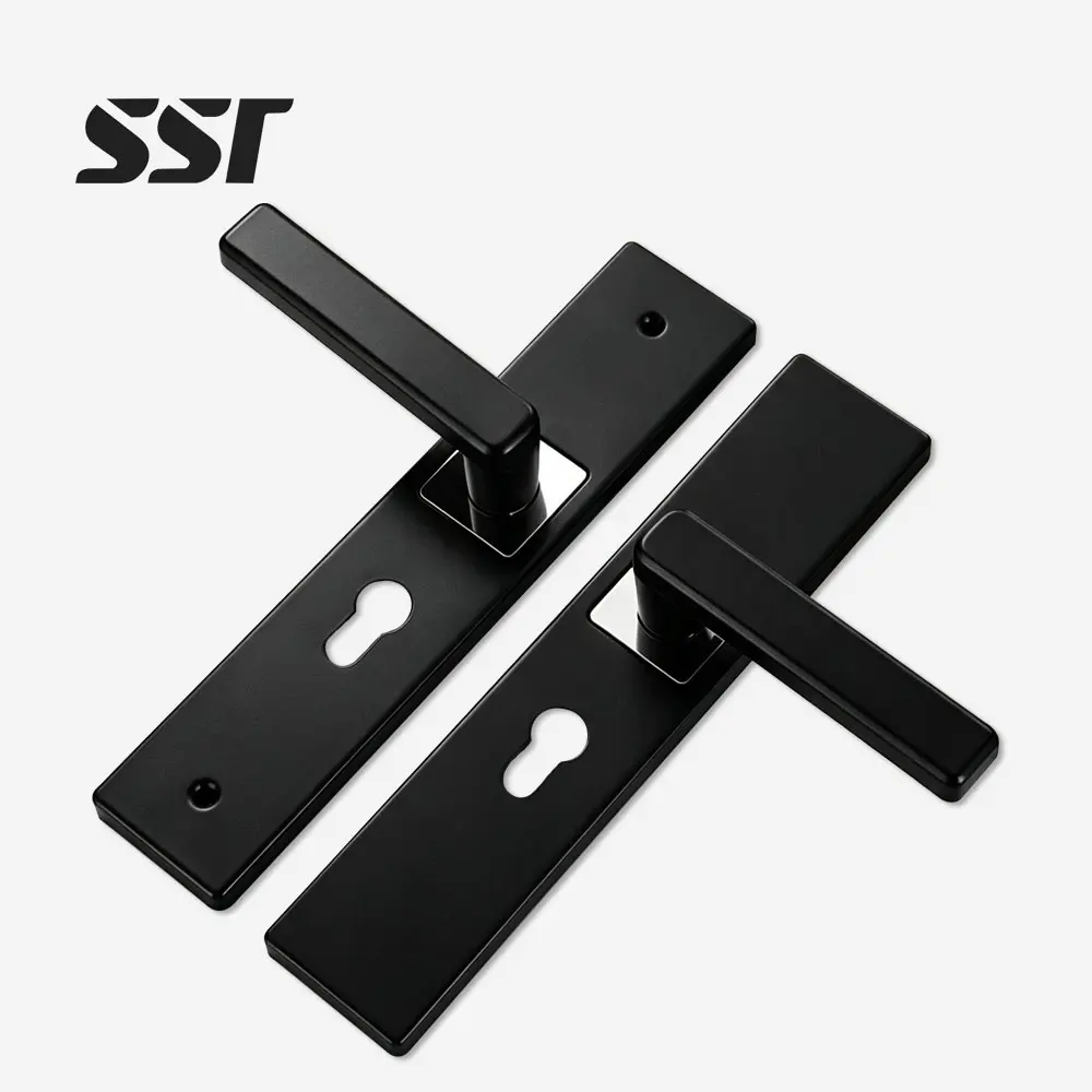 Black Door Handle with Lock